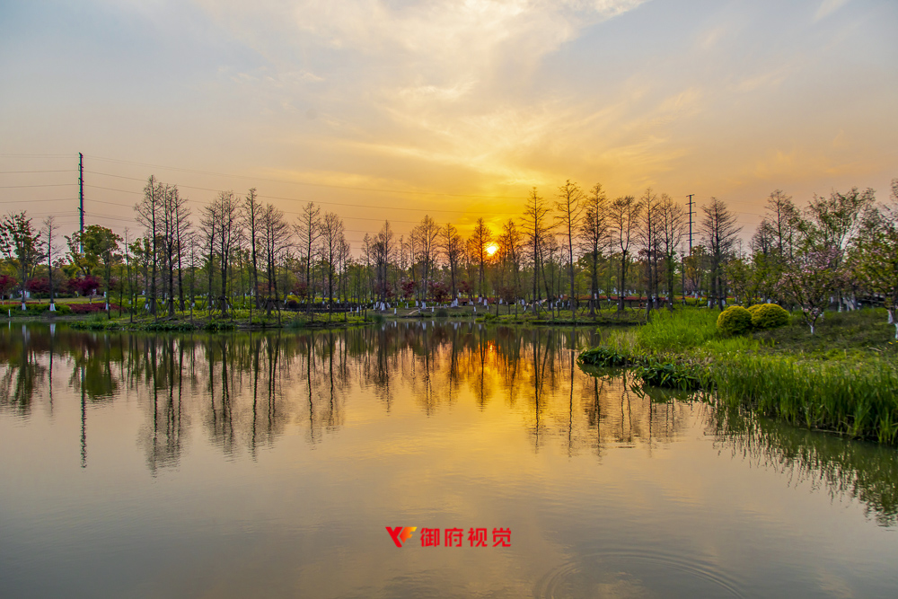 上海G60,九科绿洲,科创走廊,城市形象宣传广告