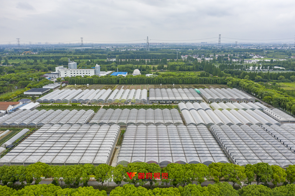 上海,现代农业,采摘园,航拍摄影广告