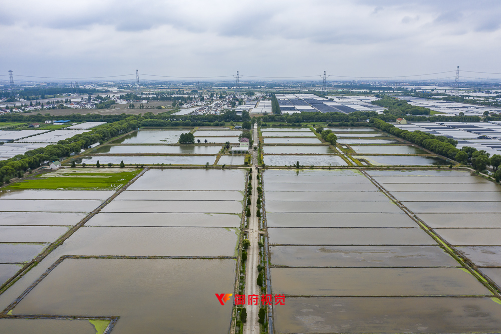 上海,现代农业,采摘园,航拍摄影广告